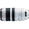 Canon EF 100-400mm f/4.5-5.6L is USM Telephoto Zoom Lens for Canon SLR Cameras International Version (No Warranty)