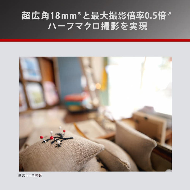 Panasonic H-X09 [Leica DG SUMMILUX 9mm / F1.7 ASPH. Micro Four Thirds] Camera Lens Shipped from Japan