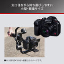 Panasonic H-X09 [Leica DG SUMMILUX 9mm / F1.7 ASPH. Micro Four Thirds] Camera Lens Shipped from Japan