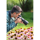 Tamron 90mm F/2.8 Di III VXD 1:1 Macro for Nikon Z Mount Mirrorless Cameras