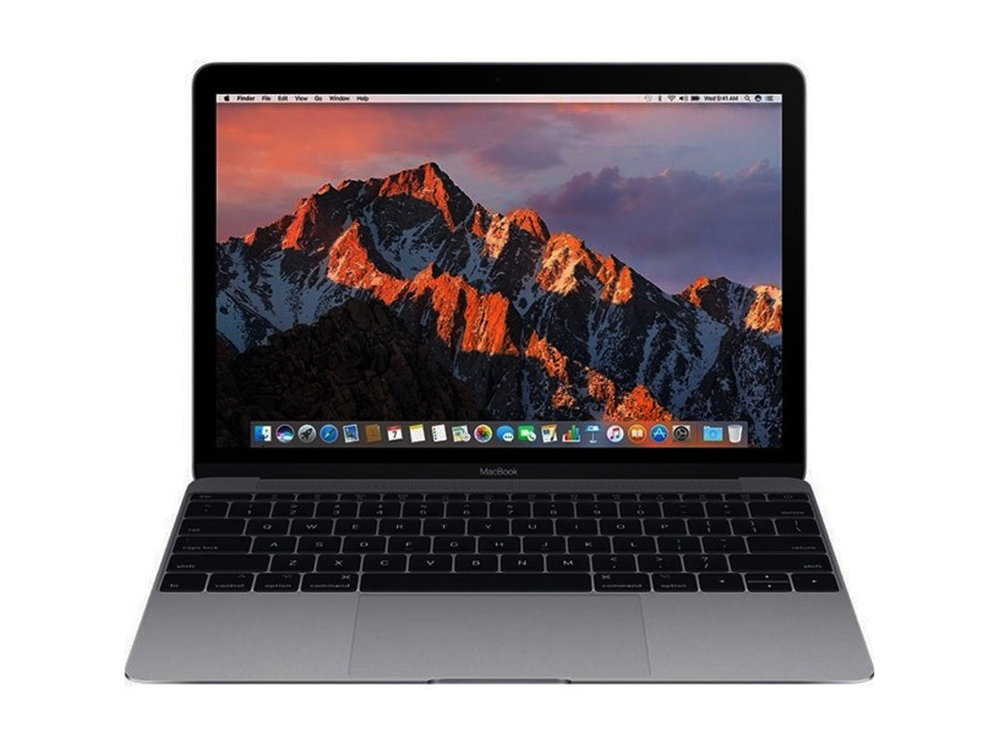 Apple 12