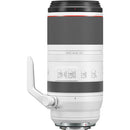 Canon RF100-500L is U(N) (International Version)