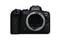 Canon EOS R6 Full-Frame Mirrorless Camera + RF24-105mm F4 L is USM Lens Kit (International Model)